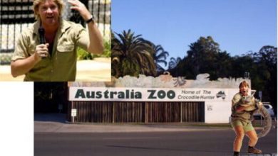 Avustralya Hayvanat Bahçesi