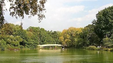Central Park