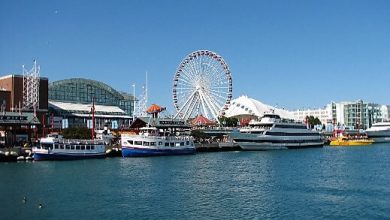 Chicago Navy Pier