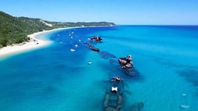 Moreton Bay