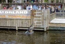 Gatorland