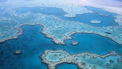 Great Barrier Reef