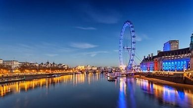 Sea Life London / London Dungeon / London Eye