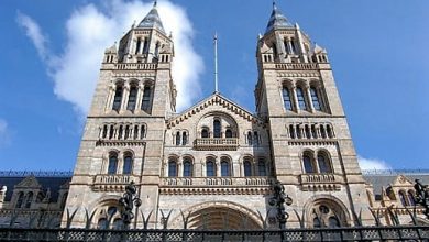 Londra Müzeler Bölgesi