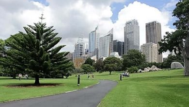 Royal Botanic Gardens