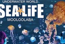 Sea World Brisbane