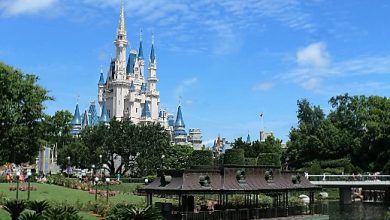 Walt Disney World