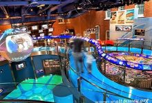 Disney Family Museum