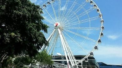 Wheel of Brisbane