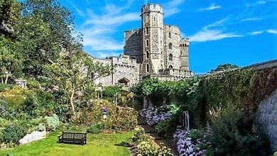 Windsor Castle & Windsor Legoland