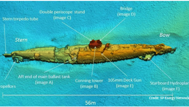 ubotfound Deniz Canavarı
