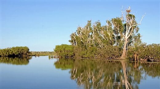 Kakadu Milli Parkı