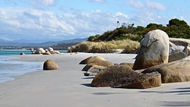 tasmania-turrehberin