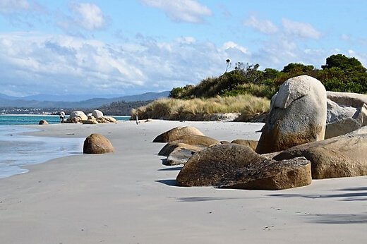 tasmania-turrehberin