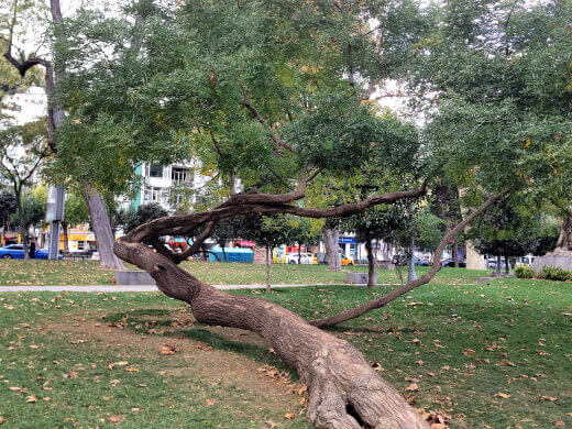 Bebek parkı-turrehberin