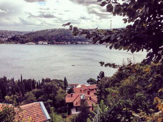 Bebek tepeden bakış