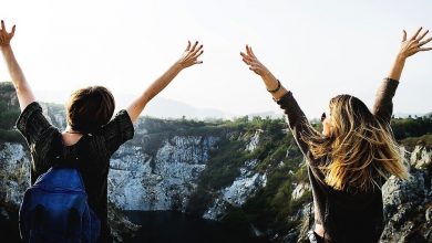Yol Arkadaşları