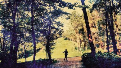 Turrehberin 2 yılı geride bırakırken