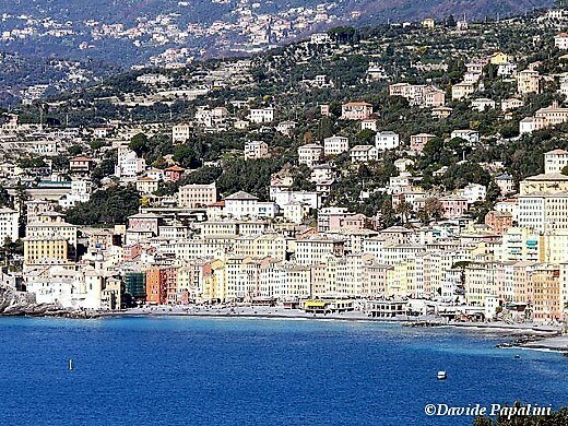 Camogli