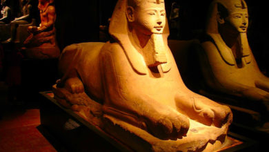 Mısır Müzesi Torino