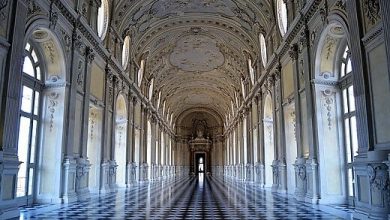 Palazzo Venaria Torino