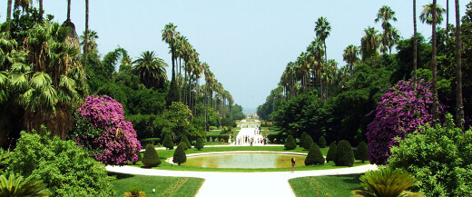 Jardin d'Essai