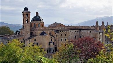 Urbino