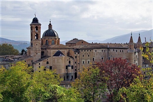 Urbino