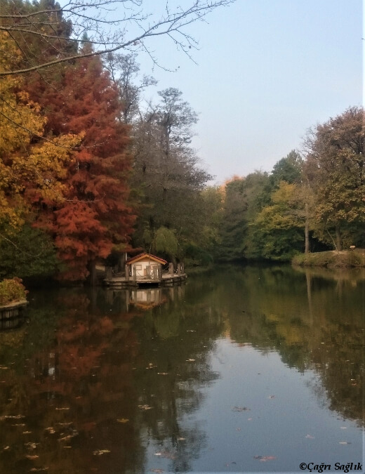 Atatürk Arboretumu