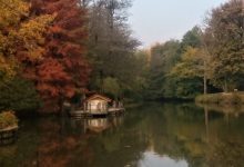 Atatürk Arboretumu