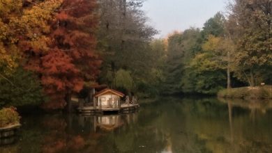 Atatürk Arboretumu