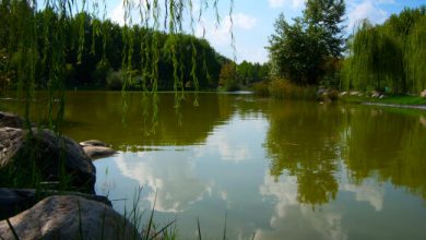 Bursa Botanik Parkı