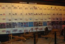 Tofaş Anadolu Arabaları Müzesi