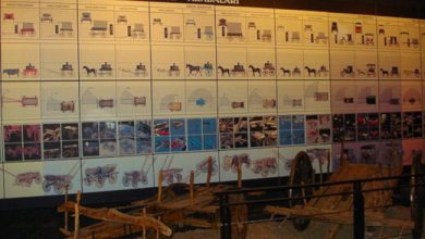 Tofaş Anadolu Arabaları Müzesi