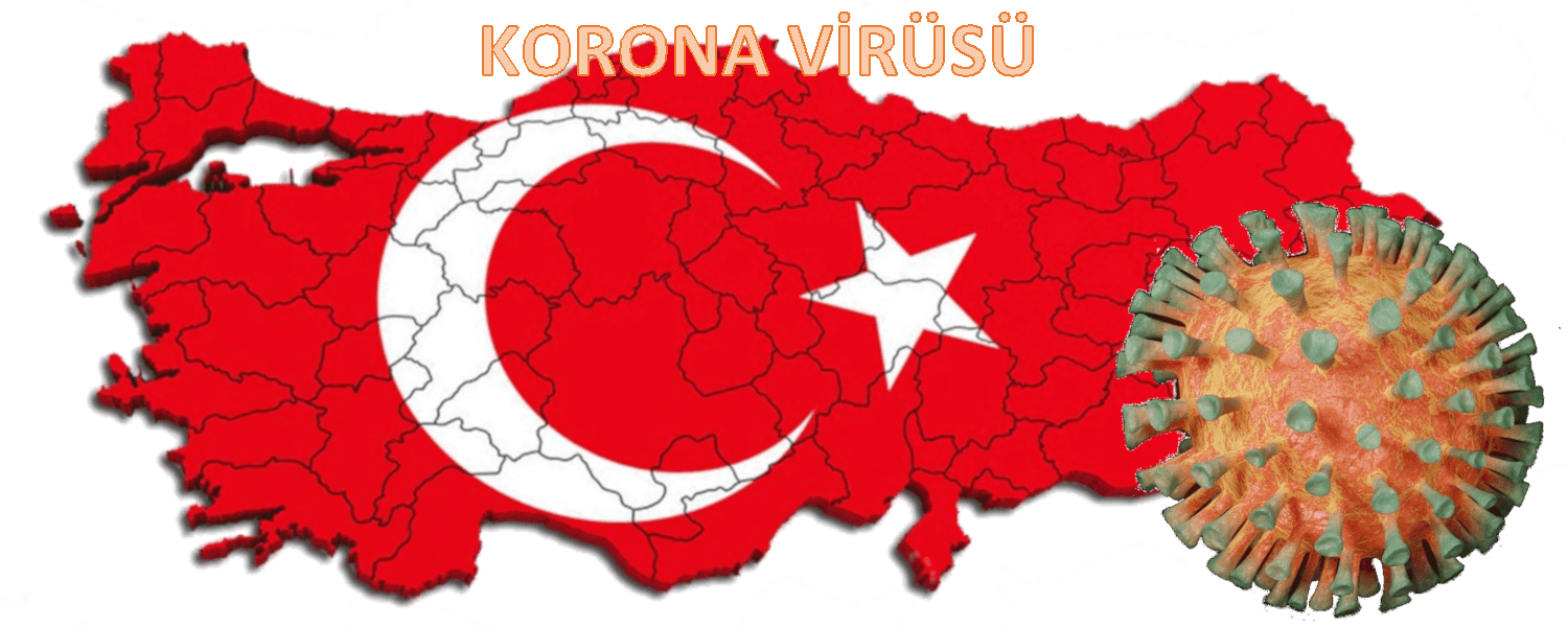 Korona