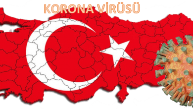 Korona