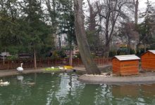 Kuğulu Park