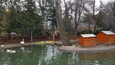 Kuğulu Park